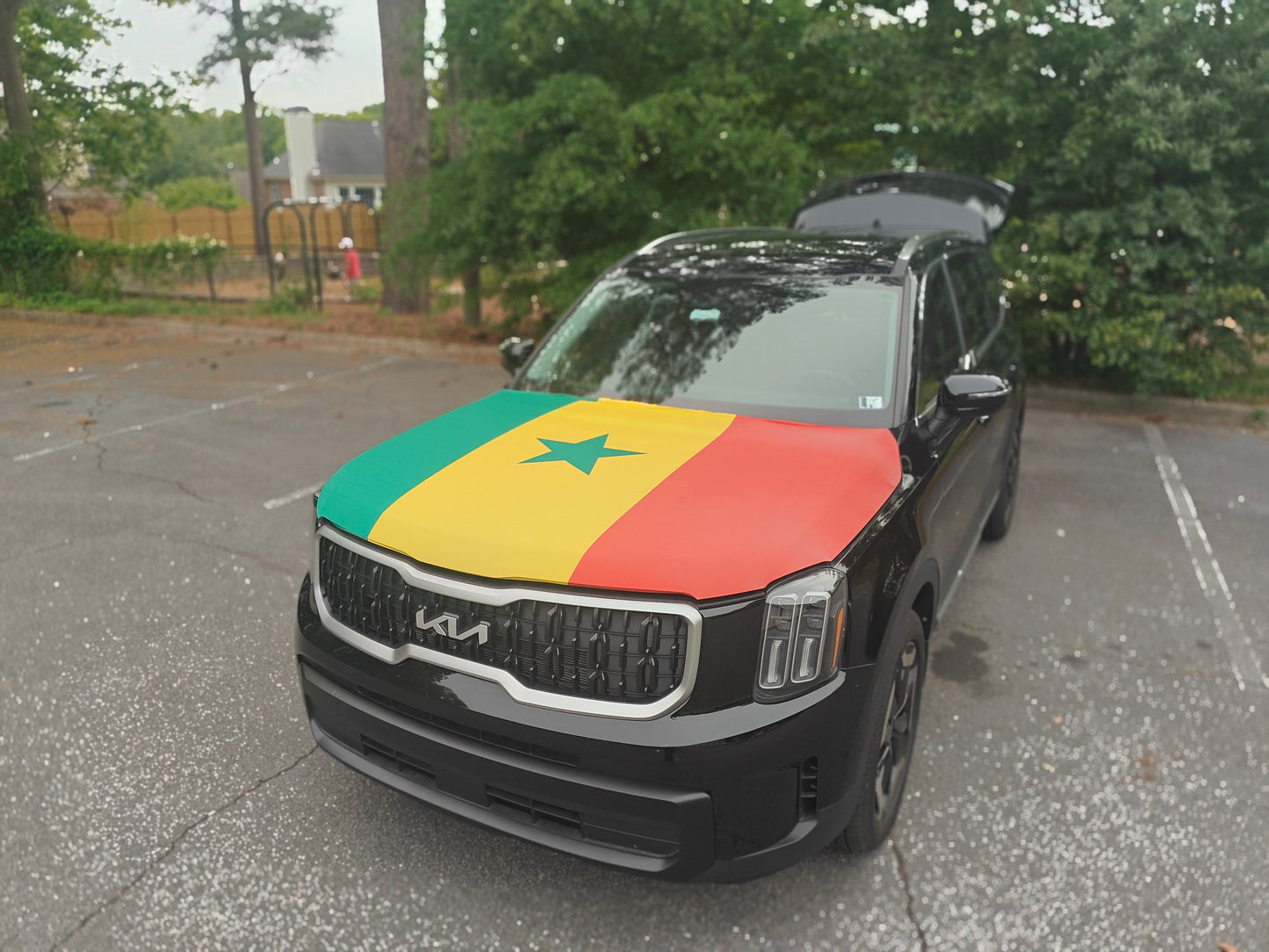Senegal Hood Flag