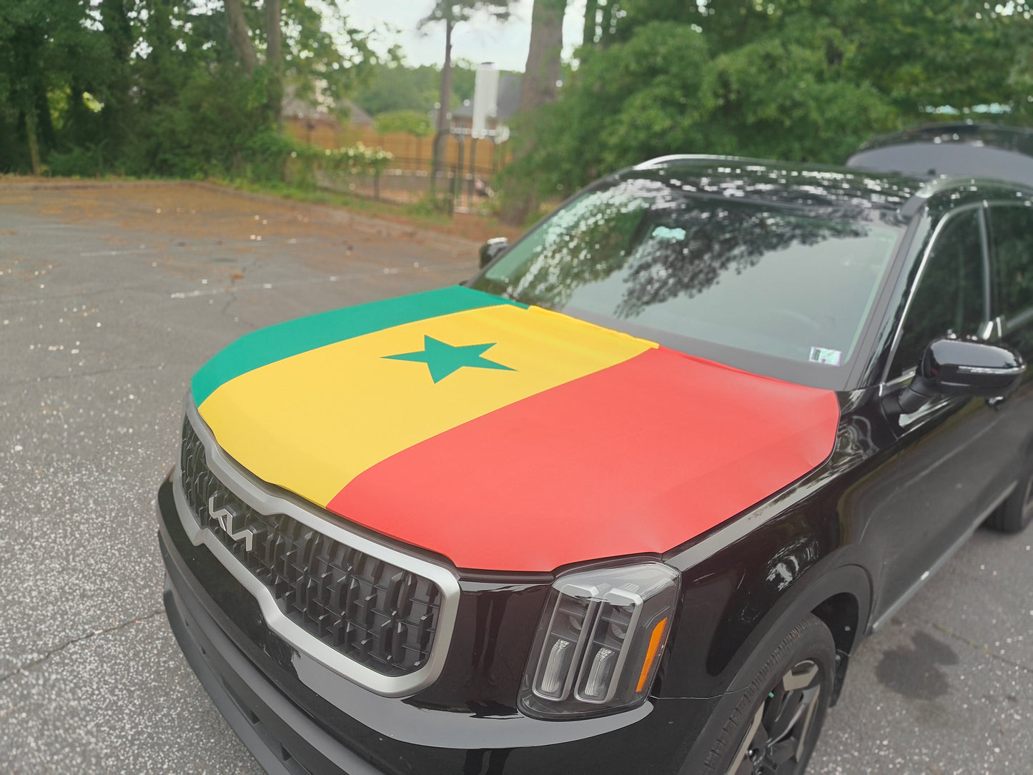 Senegal Hood Flag