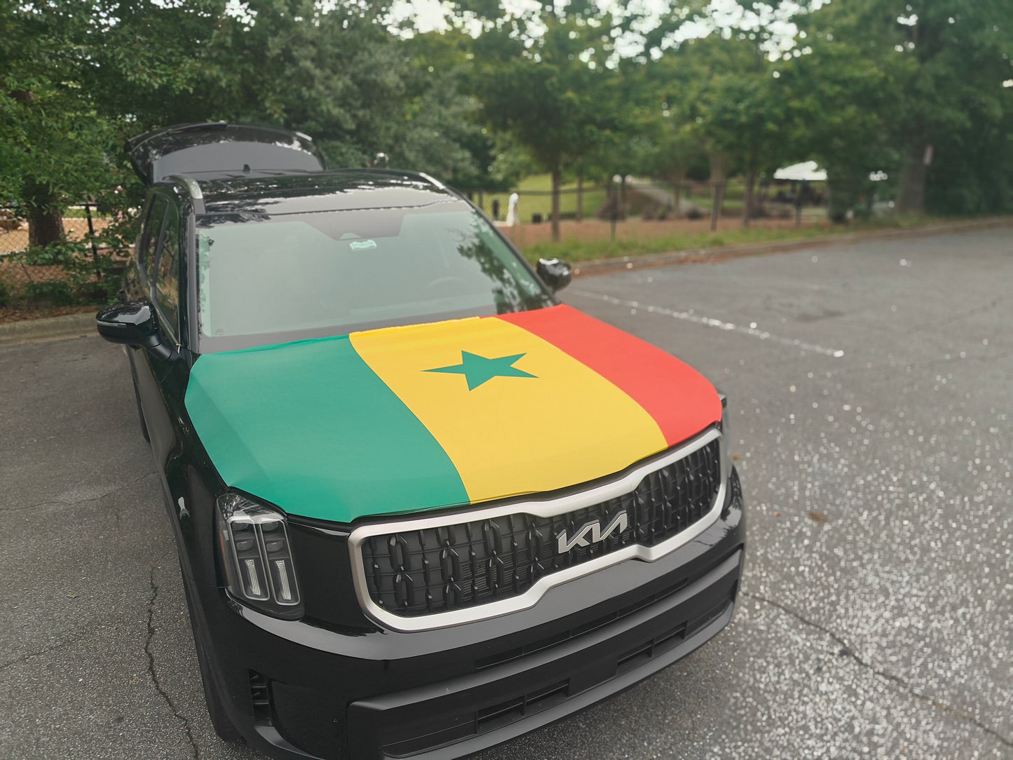 Senegal Hood Flag